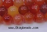 CBC415 15.5 inches 14mm AA grade round orange chalcedony beads