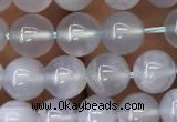 CBC711 15.5 inches 6mm round blue chalcedony beads wholesale