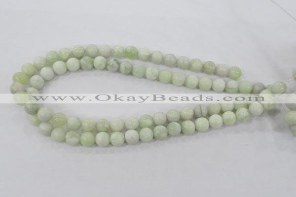 CBJ204 15.5 inches 10mm round butter jade beads wholesale