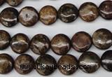 CBZ71 15.5 inches 10mm flat round bronzite gemstone beads