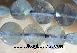 CCB607 15.5 inches 6mm faceted coin labradorite gemstone beads