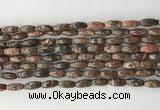 CCB810 15.5 inches 5*12mm rice leopard skin jasper beads wholesale