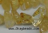 CCH292 34 inches 8*12mm citrine chips gemstone beads wholesale