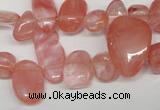 CCH334 15.5 inches 10*15mm cherry quartz chips beads wholesale