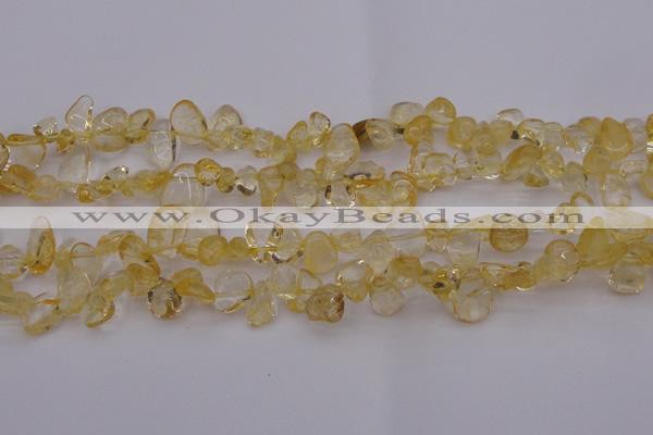 CCH612 15.5 inches 6*8mm - 10*14mm citrine chips gemstone beads