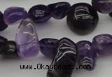 CCH615 15.5 inches 6*8mm - 10*14mm amethyst chips gemstone beads