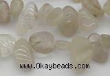 CCH622 15.5 inches 6*8mm - 10*14mm golden rutilated quartz chips beads