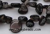 CCH623 15.5 inches 6*8mm - 10*14mm smoky quartz chips beads