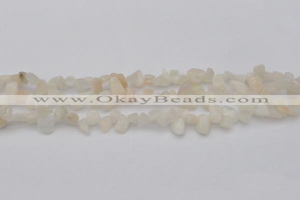 CCH624 15.5 inches 6*8mm - 10*14mm white moonstone chips beads