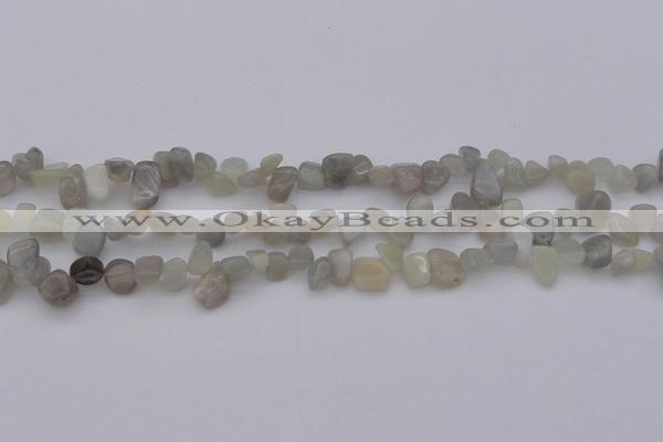 CCH625 15.5 inches 6*8mm - 10*14mm grey moonstone chips beads