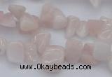 CCH626 15.5 inches 6*8mm - 10*14mm morganite gemstone chips beads