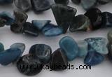 CCH628 15.5 inches 6*8mm - 10*14mm apatite gemstone chips beads