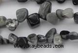 CCH633 15.5 inches 6*8mm - 10*14mm eagle eye jasper chips beads