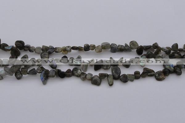 CCH642 15.5 inches 6*8mm - 10*14mm labradorite chips beads