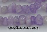 CCH648 15.5 inches 8*12mm - 10*14mm lavender amethyst chips beads