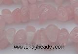 CCH654 15.5 inches 8*12mm - 10*14mm rose quartz chips beads