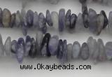 CCH658 15.5 inches 4*6mm - 5*8mm iolite gemstone chips beads