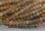 CCS301 15.5 inches 4mm round natural sunstone beads wholesale