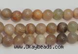 CCS303 15.5 inches 8mm round natural sunstone beads wholesale