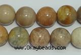 CCS307 15.5 inches 16mm round natural sunstone beads wholesale