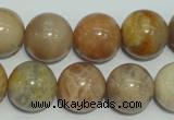 CCS308 15.5 inches 18mm round natural sunstone beads wholesale