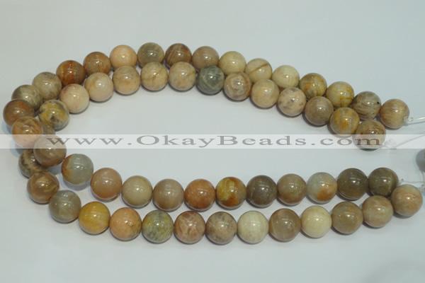 CCS308 15.5 inches 18mm round natural sunstone beads wholesale