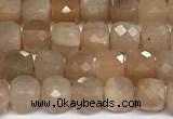 CCU1013 15 inches 4mm faceted cube sunstone beads