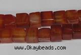 CCU67 15.5 inches 8*8mm cube red agate beads wholesale