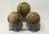 CDN1127 30mm round picture jasper decorations wholesale