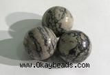 CDN1149 30mm round zebra jasper decorations wholesale