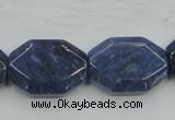 CDU06 15.5 inches 18*25mm octagonal natural blue dumortierite beads