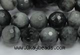 CEE22 15.5 inches 12mm faceted round eagle eye jasper beads wholesale