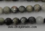 CEE353 15.5 inches 10mm faceted round eagle eye jasper beads