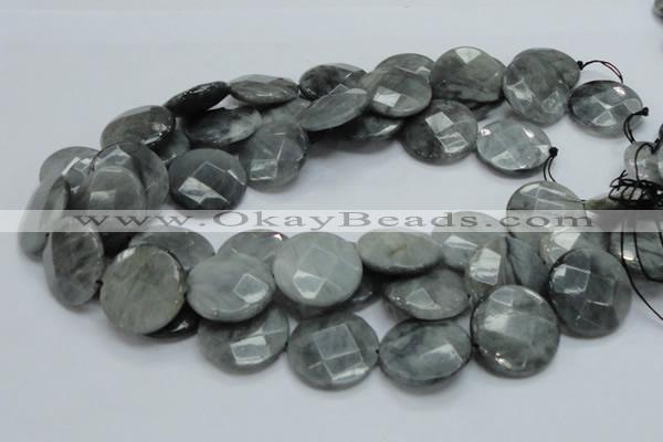 CEE39 15.5 inches 25mm faceted coin eagle eye jasper beads wholesale