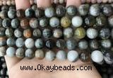 CEE526 15.5 inches 10mm round eagle eye jasper beads wholesale