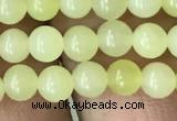 CEJ350 15.5 inches 4mm round lemon jade beads wholesale