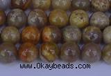 CFC201 15.5 inches 6mm round fossil coral beads wholesale