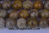 CFC202 15.5 inches 8mm round fossil coral beads wholesale