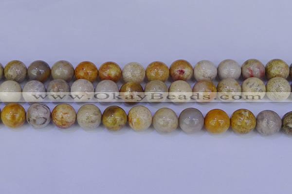 CFC205 15.5 inches 14mm round fossil coral beads wholesale