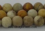 CFC222 15.5 inches 8mm round matte fossil coral beads wholesale