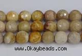 CFC228 15.5 inches 4mm faceted round fossil coral beads