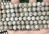 CFC330 15.5 inches 8mm round fossil coral beads wholesale