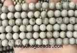 CFC331 15.5 inches 8mm round fossil coral beads wholesale