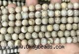 CFC333 15.5 inches 8mm round fossil coral beads wholesale