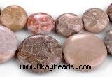 CFC53 15.5 inches flat round coral fossil jasper beads wholesale