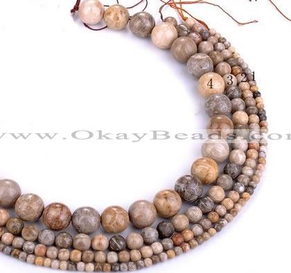 CFC55 15.5 inches round coral fossil jasper beads wholesale