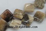 CFS14 15.5 inches 12*12mm diamond natural feldspar gemstone beads