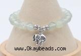 CGB7902 8mm prehnite bead with luckly charm bracelets wholesale