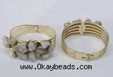 CGB821 30*68mm - 30*70mm druzy agate gemstone bangles wholeasale