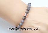 CGB9260 8mm, 10mm Botswana agate & drum hematite power beads bracelets